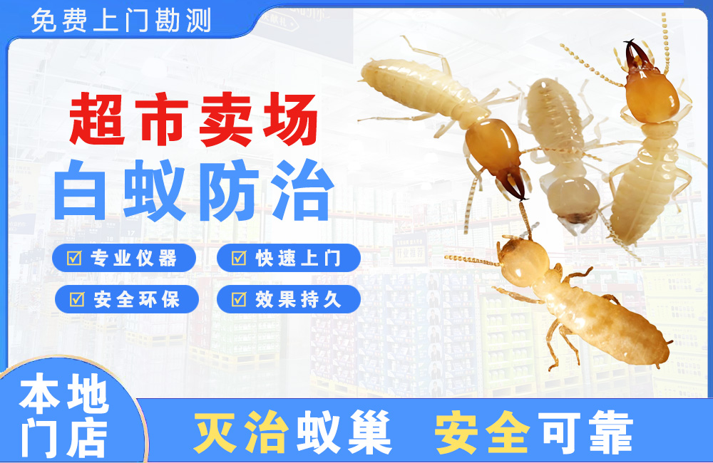 崇州超市卖场白蚁防治