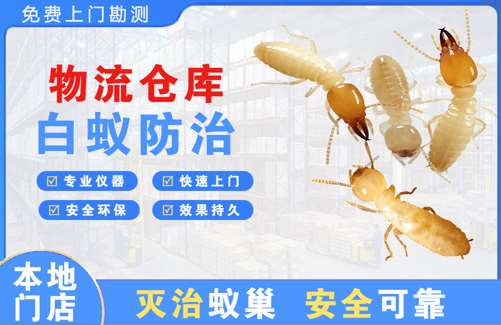 崇州物流仓库白蚁防治