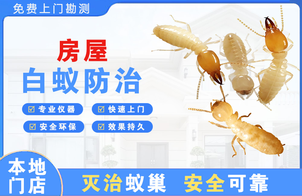 崇州房屋白蚁防治